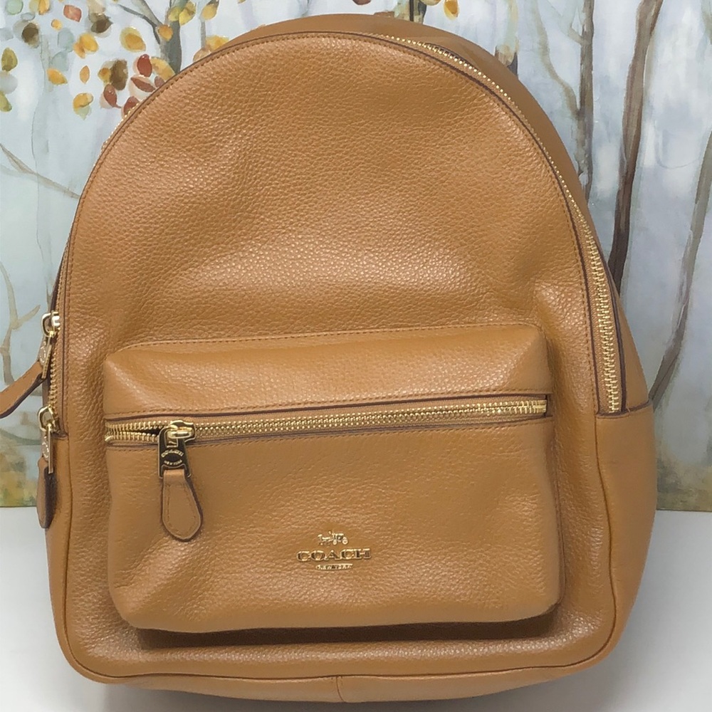 NWT Coach medium Charlie Backpack - Picture 8 of 8